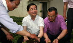 省科技廳帶領及新華社來我司觀賞全程土豆機